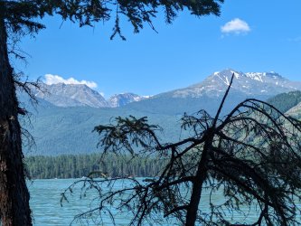 PXL_20240627_031711777.MP.jpg PXL_20240627_031711777.MP.jpg