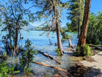 PXL_20240627_030351229.MP~2.jpg PXL_20240627_030351229.MP~2.jpg