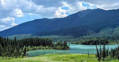 PXL_20240627_063838523.MP~2.jpg PXL_20240627_063838523.MP~2.jpg