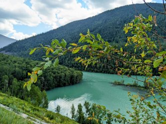 PXL_20240627_072449273.MP~2.jpg PXL_20240627_072449273.MP~2.jpg