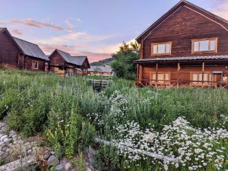 PXL_20240627_141532878.MP~2_2f68c0ce.jpg PXL_20240627_141532878.MP~2_2f68c0ce.jpg