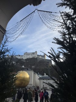 IMG_0518.jpeg IMG_0518.jpeg