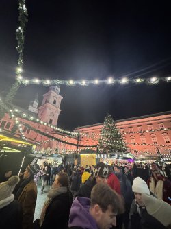 IMG_0527.jpeg IMG_0527.jpeg