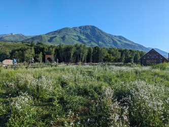 PXL_20240628_002917621.MP_3d3ba214.jpg PXL_20240628_002917621.MP_3d3ba214.jpg