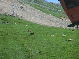 PXL_20240628_031039187.MP.jpg PXL_20240628_031039187.MP.jpg