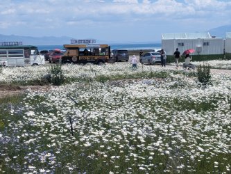 PXL_20240629_061431391.MP.jpg PXL_20240629_061431391.MP.jpg