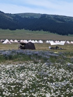 PXL_20240629_061426138.MP.jpg PXL_20240629_061426138.MP.jpg