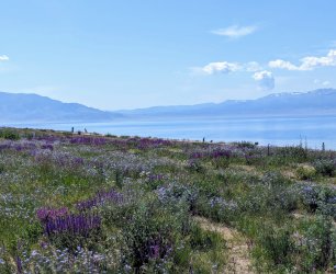 PXL_20240629_042148537.MP.jpg PXL_20240629_042148537.MP.jpg