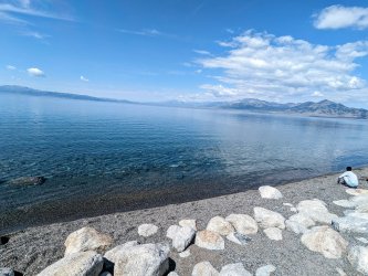 PXL_20240629_041324982.MP~2.jpg PXL_20240629_041324982.MP~2.jpg