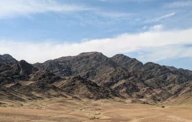 PXL_20240629_110309660.MP.jpg PXL_20240629_110309660.MP.jpg