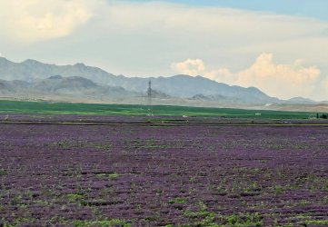 PXL_20240629_104253905.MP~2.jpg PXL_20240629_104253905.MP~2.jpg