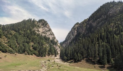 PXL_20240629_082138107.jpg PXL_20240629_082138107.jpg