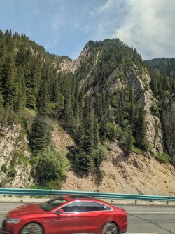 PXL_20240629_082016254.jpg PXL_20240629_082016254.jpg