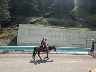 PXL_20240629_080847267.MP.jpg PXL_20240629_080847267.MP.jpg