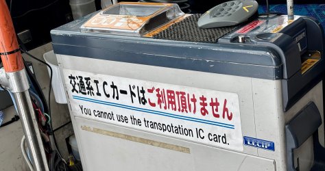 IMG_4882.jpeg IMG_4882.jpeg