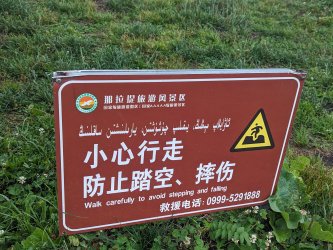 PXL_20240630_010603987.MP.jpg PXL_20240630_010603987.MP.jpg