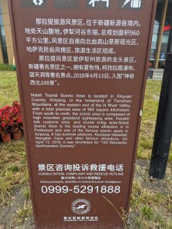 PXL_20240630_002221093.MP.jpg PXL_20240630_002221093.MP.jpg