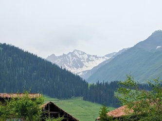 PXL_20240630_015643047.MP~2.jpg PXL_20240630_015643047.MP~2.jpg