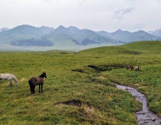 PXL_20240630_014847960.MP.jpg PXL_20240630_014847960.MP.jpg