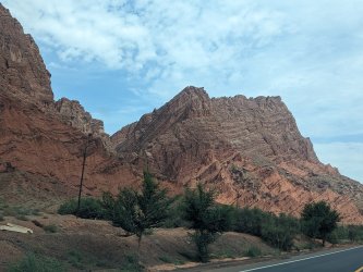 PXL_20240701_061731472.jpg PXL_20240701_061731472.jpg