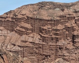 PXL_20240701_052354176.MP~2.jpg PXL_20240701_052354176.MP~2.jpg