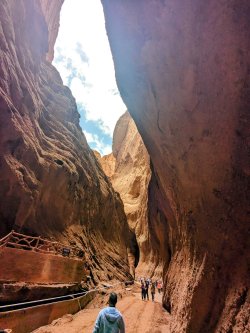 PXL_20240701_072620527.MP~2.jpg PXL_20240701_072620527.MP~2.jpg