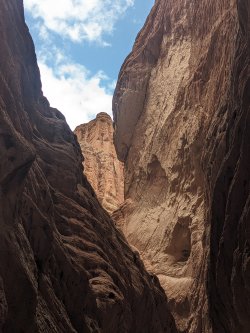 PXL_20240701_072506275.MP.jpg PXL_20240701_072506275.MP.jpg