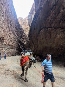 PXL_20240701_072413346.MP.jpg PXL_20240701_072413346.MP.jpg