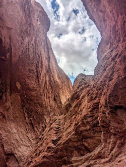 PXL_20240701_072226156.MP~2.jpg PXL_20240701_072226156.MP~2.jpg