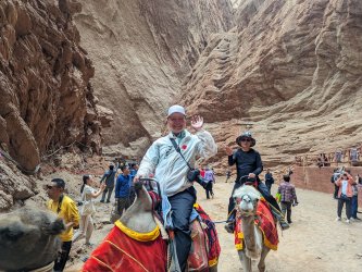 PXL_20240701_072209138.MP.jpg PXL_20240701_072209138.MP.jpg