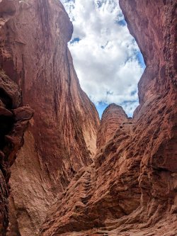 PXL_20240701_072151315.MP~2.jpg PXL_20240701_072151315.MP~2.jpg