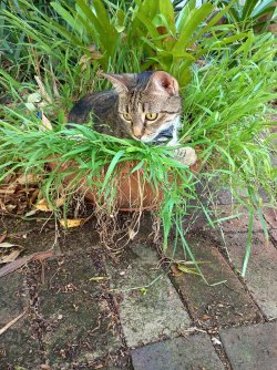 1000006801.jpg 1000006801.jpg