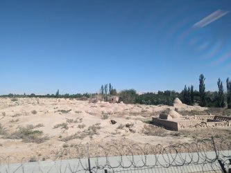 PXL_20240702_025638891.NIGHT.jpg PXL_20240702_025638891.NIGHT.jpg