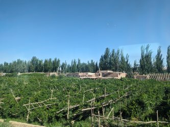 PXL_20240702_025457749.NIGHT.jpg PXL_20240702_025457749.NIGHT.jpg