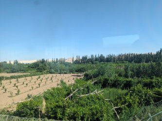 PXL_20240702_025255460.NIGHT.jpg PXL_20240702_025255460.NIGHT.jpg