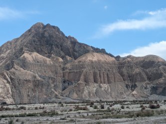 PXL_20240702_073918518.MP.jpg PXL_20240702_073918518.MP.jpg