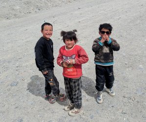 PXL_20240702_094140915.MP~2.jpg PXL_20240702_094140915.MP~2.jpg