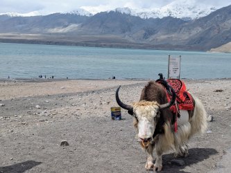 PXL_20240702_090540238.MP.jpg PXL_20240702_090540238.MP.jpg