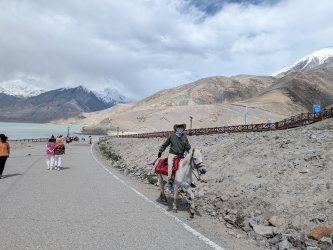 PXL_20240702_090256060.MP.jpg PXL_20240702_090256060.MP.jpg