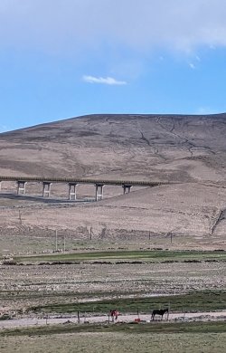 PXL_20240702_113640720.MP.jpg PXL_20240702_113640720.MP.jpg