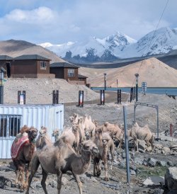 PXL_20240702_110654760.MP.jpg PXL_20240702_110654760.MP.jpg