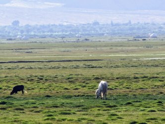 PXL_20240703_020504434.MP.jpg PXL_20240703_020504434.MP.jpg