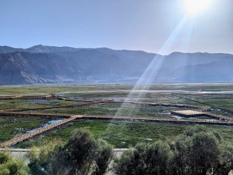 PXL_20240703_013831816.MP~2.jpg PXL_20240703_013831816.MP~2.jpg