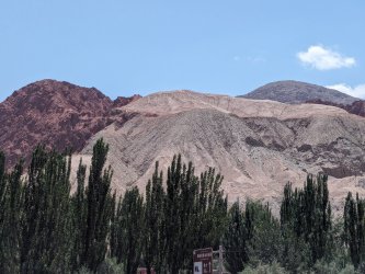 PXL_20240703_081307002.MP.jpg PXL_20240703_081307002.MP.jpg