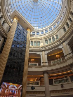 PXL_20240703_121907697.MP.jpg PXL_20240703_121907697.MP.jpg