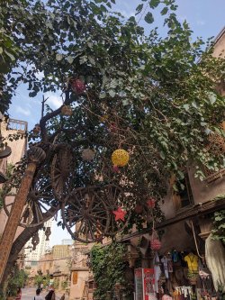 PXL_20240704_022718849.MP.jpg PXL_20240704_022718849.MP.jpg