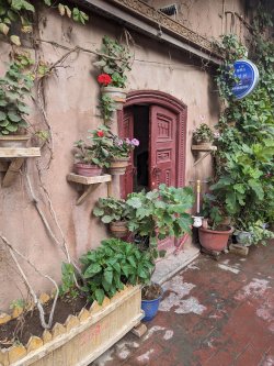 PXL_20240704_021330898.MP.jpg PXL_20240704_021330898.MP.jpg