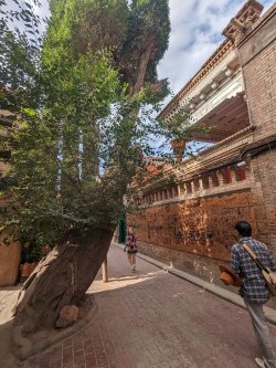 PXL_20240704_020853366.MP.jpg PXL_20240704_020853366.MP.jpg