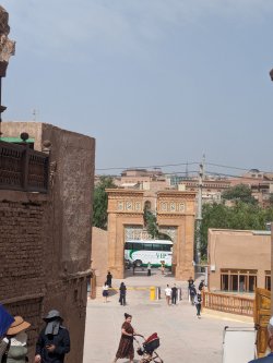 PXL_20240704_040754427.MP.jpg PXL_20240704_040754427.MP.jpg