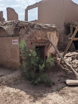 PXL_20240704_042713766.MP.jpg PXL_20240704_042713766.MP.jpg